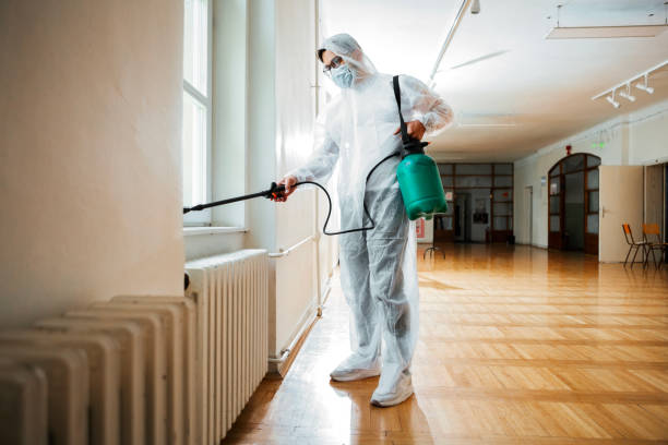 Real Estate Pest Inspections in Pinole, CA